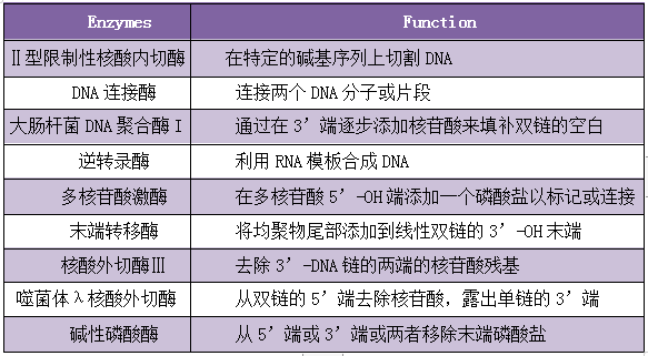 微信图片_20221129094616.png